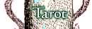 The Mystic Eye Tarot and More navigation picture of alchemical type image of hand with eyeball